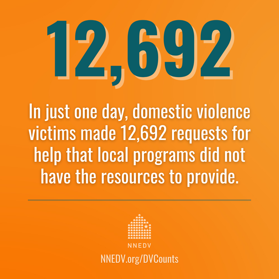 post thumbnail for 17th Annual Domestic Violence Counts Survey